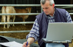 USDA Guaranteed Loans
